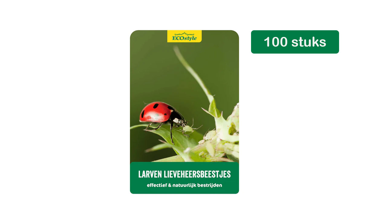 Larven lieveheersbeestje 100 st. • Gras en Groen Winkel