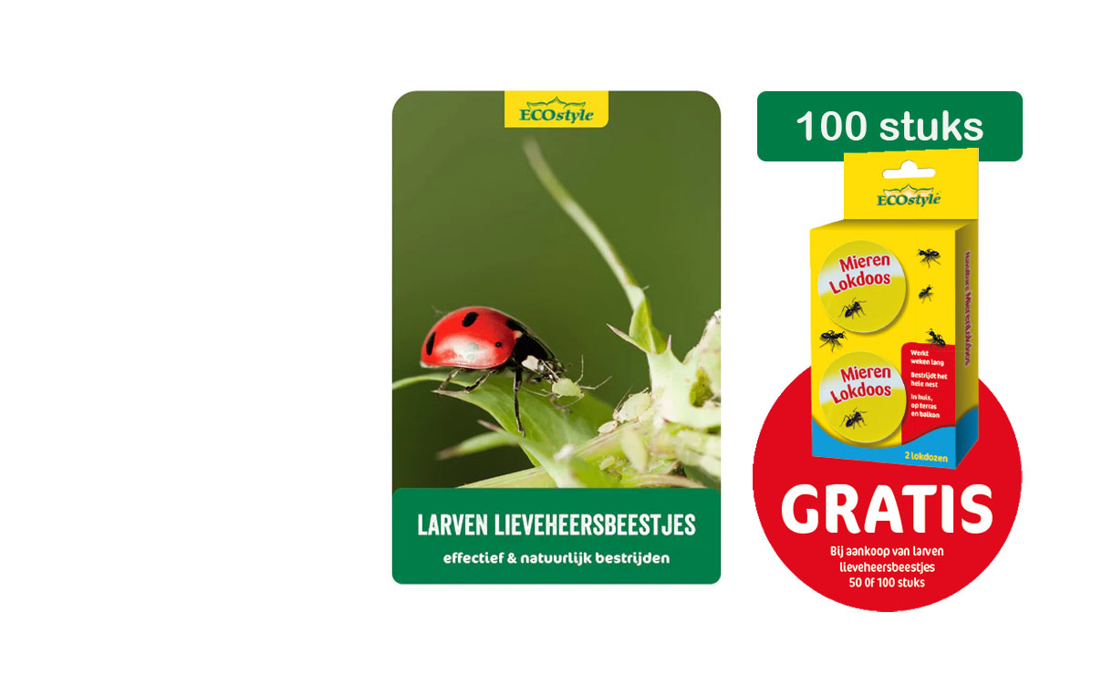 ECOstyle - Larven lieveheersbeestje 100 st. tegen bladluis • Gras en Groen Winkel