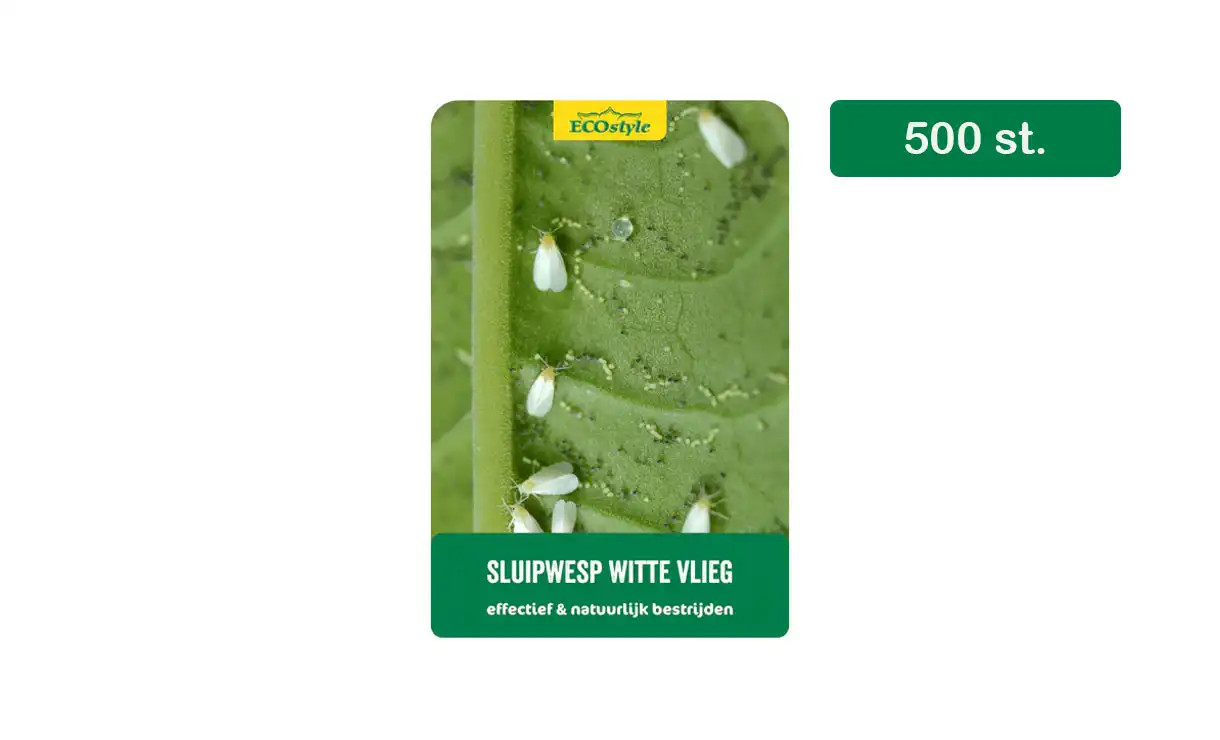 ECOstyle - Sluipwesp tegen larven van de witte vlieg 500 st. - 10 m² • Gras en Groen Winkel