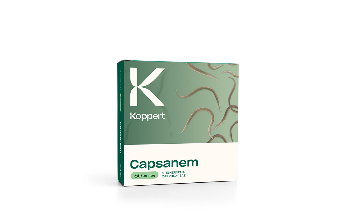 Koppert - Capsanem 100 m² - Aaltjes tegen emelten • Gras en Groen Winkel