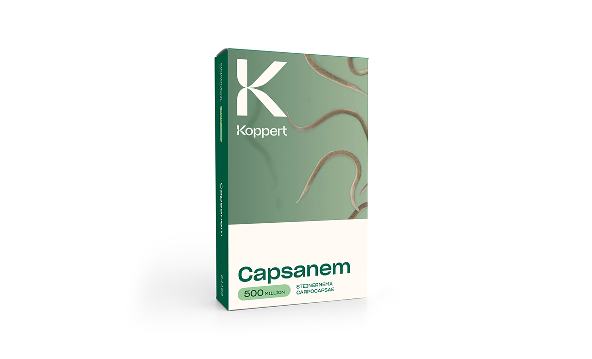 Koppert - Capsanem 1000 m² - Aaltjes tegen emelten • Gras en Groen Winkel