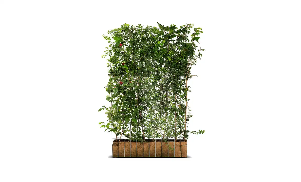 Mobilane - Kant-en-klaar haag ECO 180 cm - Inheemse planten • Gras en Groen Winkel