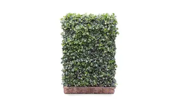 Mobilane - Kant-en-klaar haag Hedera Helix 'Green Ripple' 180 cm • Gras en Groen Winkel