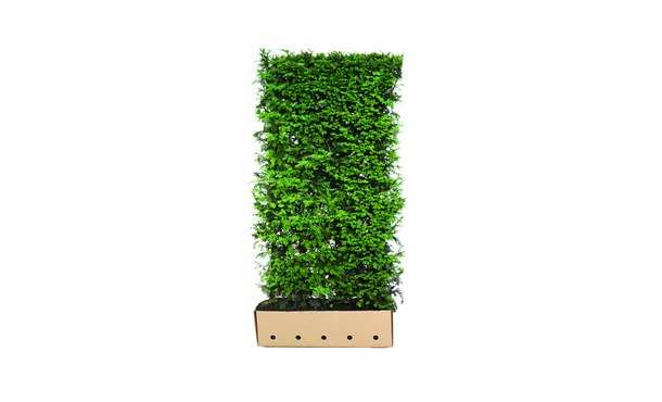 Controleput type K10 • Gras en Groen Winkel