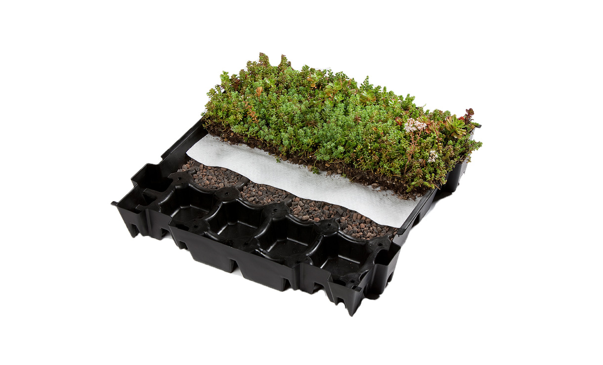 Sedumcassette ND premium - Lichtgewicht sedumdak - 4,4 p/m² • Gras en Groen Winkel
