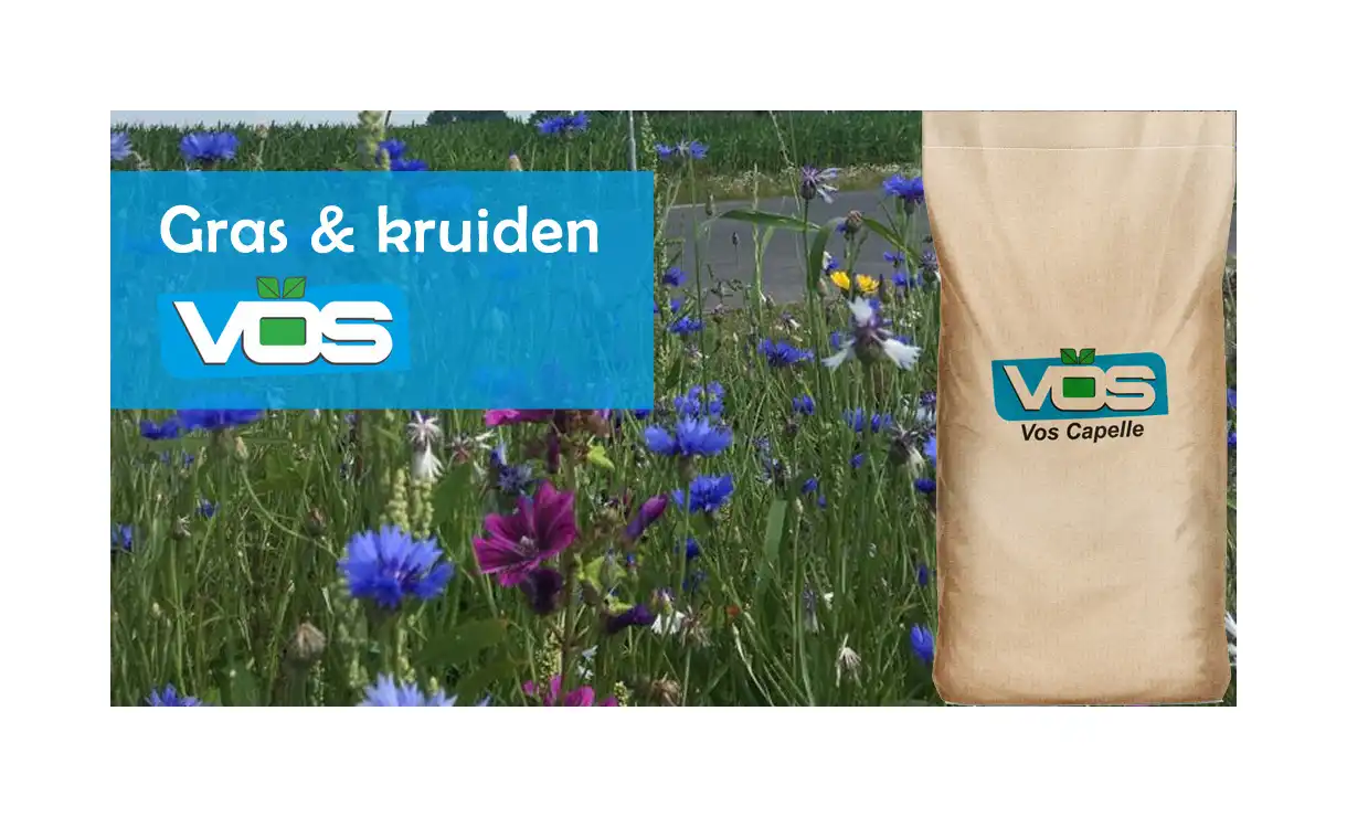 VOSCA - Gras en Kruidenmengsel 10 kg voor 250 m² • Gras en Groen Winkel