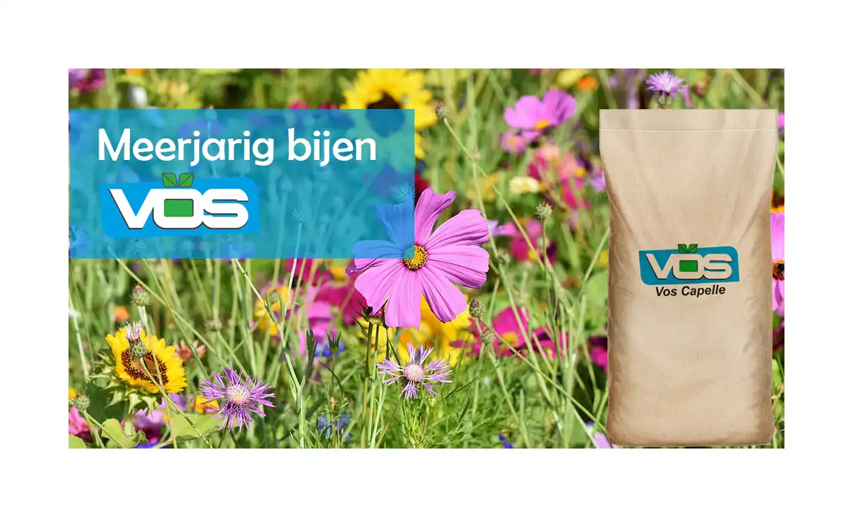 VOSCA - Meerjarig bijenmengsel 1 kg voor 400 m² • Gras en Groen Winkel